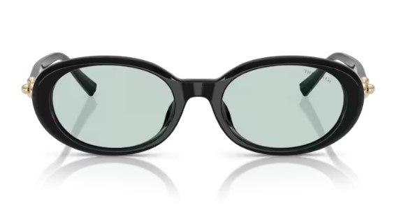 Óculos de Sol Tiffany TF4242-D 8001D9 54 19 140 1N